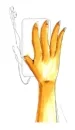 unnamed.jpg