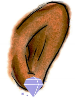 ear-crop.gif