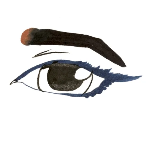 whiteeye.jpg