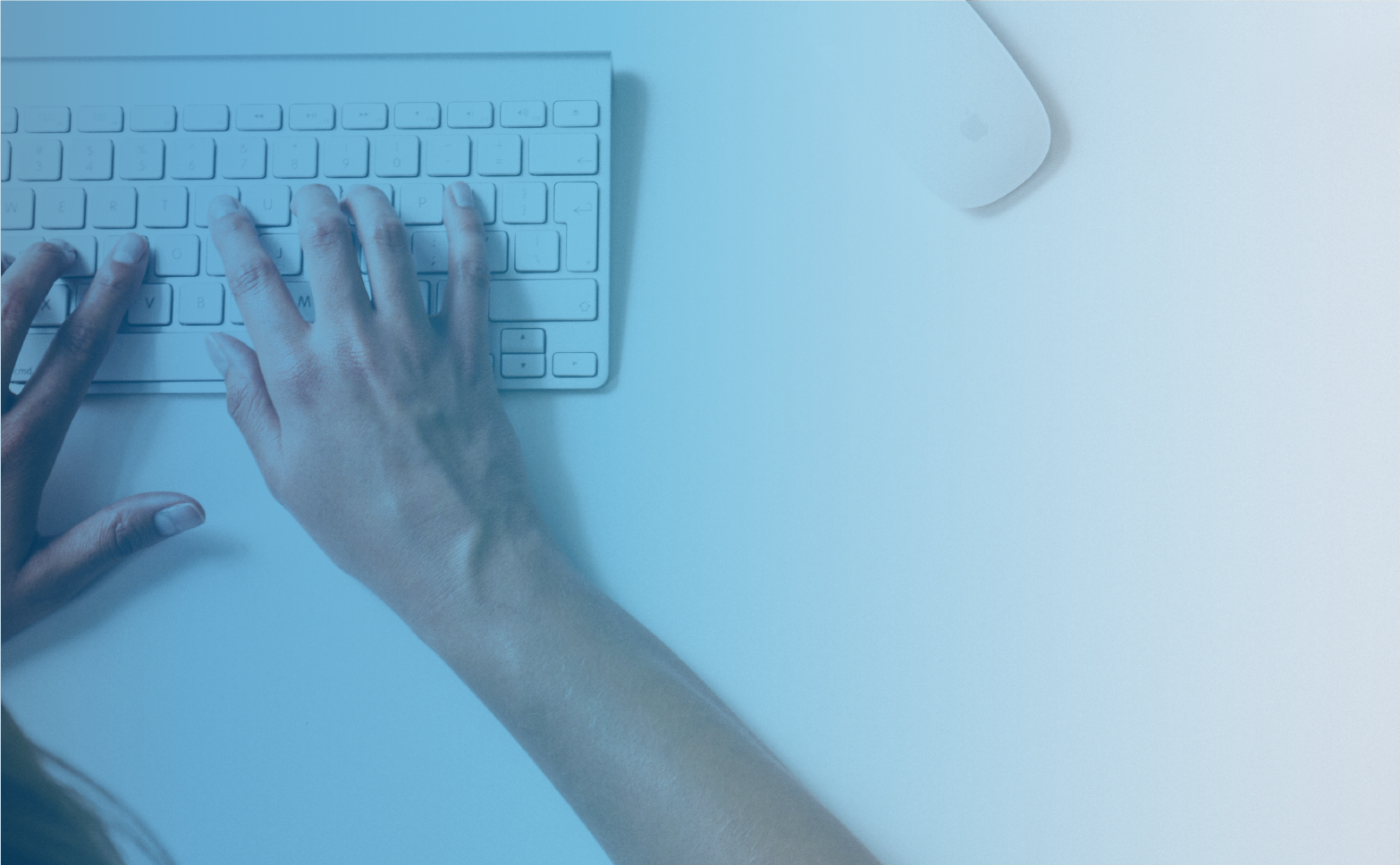 backplate image5-01.png