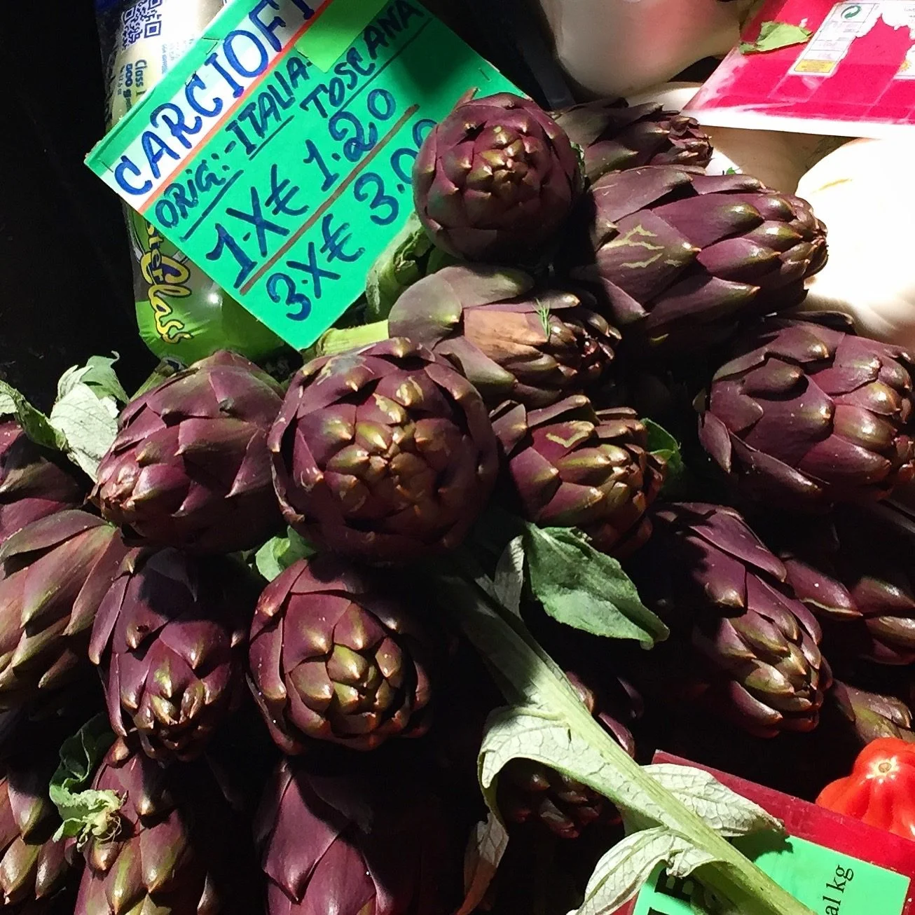ArtichokeBologna.jpg