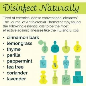 disinfect.jpg