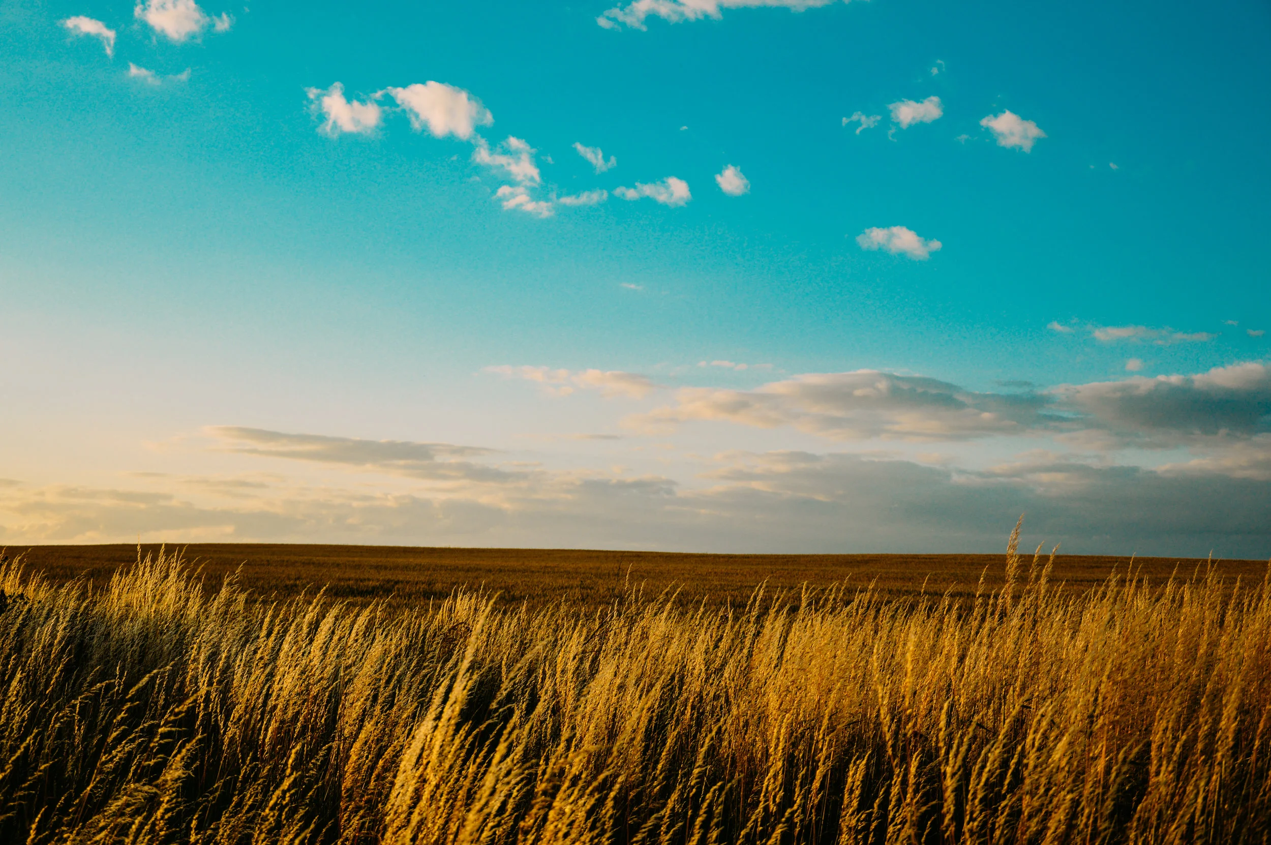 pexels-photod.jpg