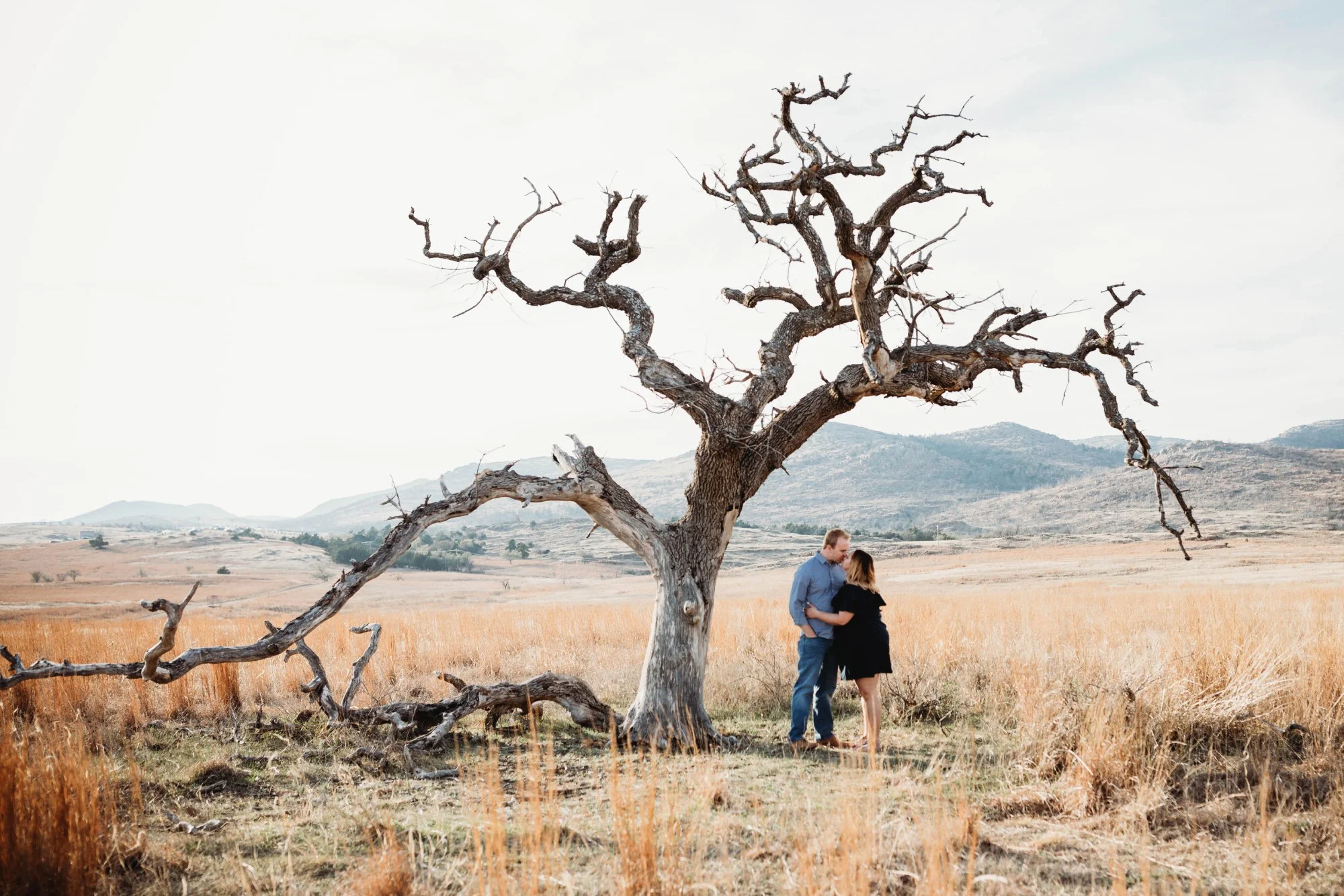 Wichia Mountains Engagement_0013.jpg