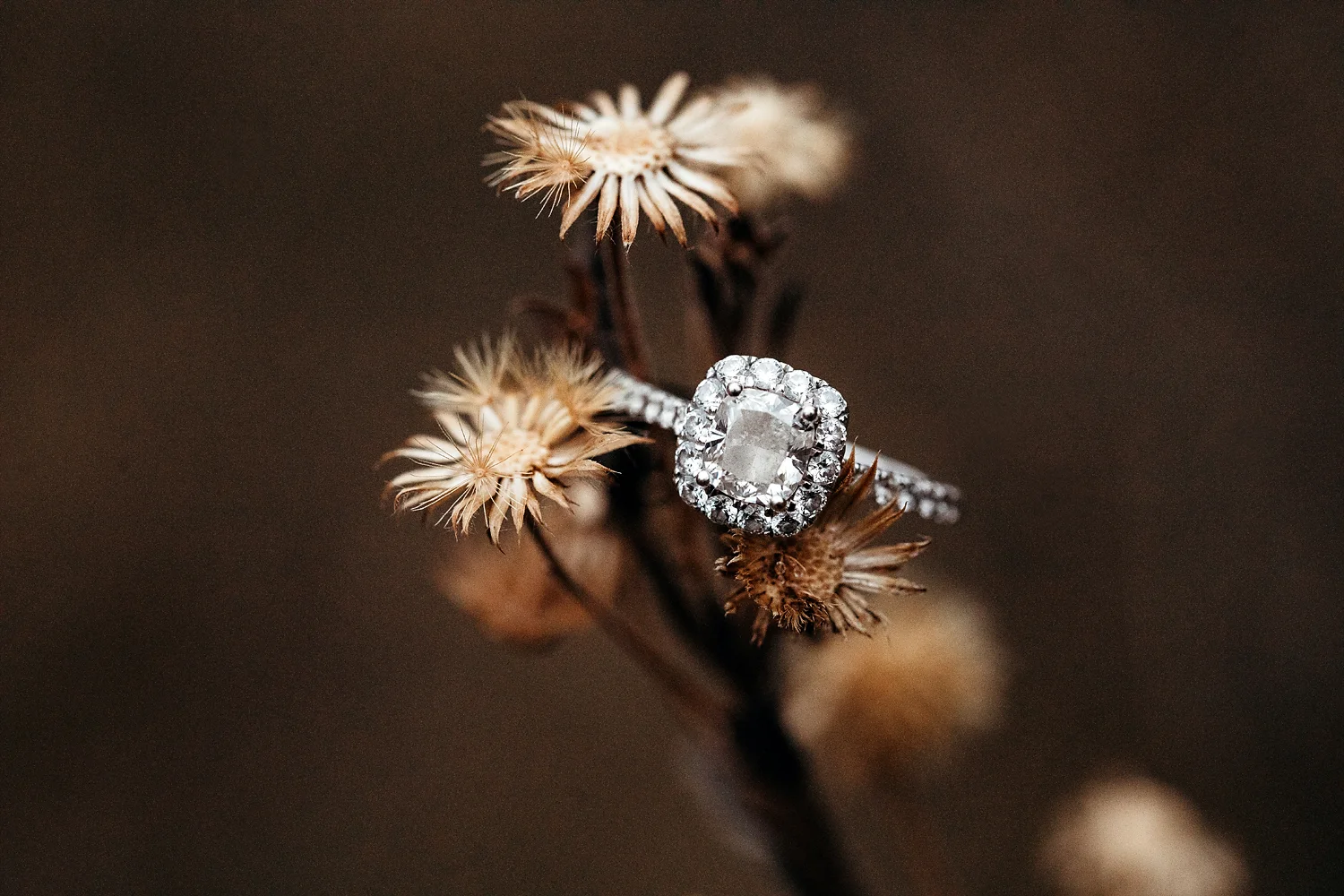 Wedding Ring | karacheekphotography.com