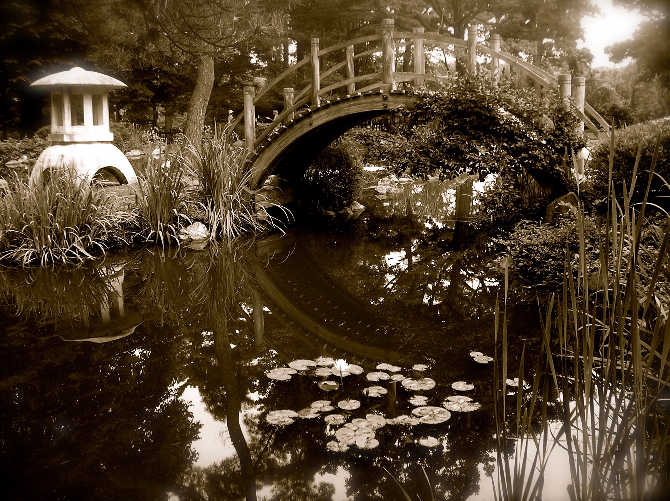 Fabyan Japanese Tea Garden, Geneva, IL
