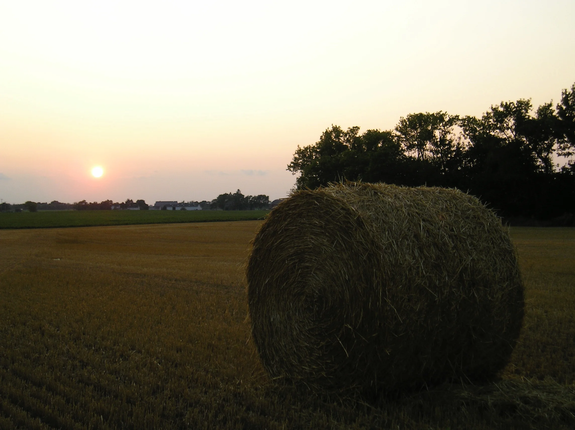 Harvest Moon - Illinois Prairie Farmscape