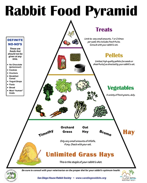 The rabbit food pyramid