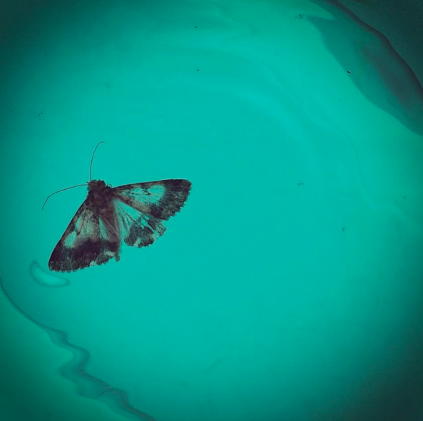 You get so the only time you want to be alive is when you’re blowing that horn, DECOMP