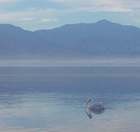 She Has An Ache, PRINTER’S BALL ART BOOK 2010