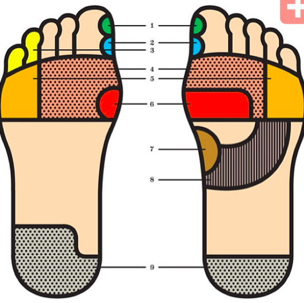 You don’t know how it feels to be pulled inside out: an ode to Bull Shannon, PANK