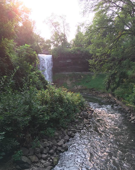 M-I-SS-I-SS-I-PP-I, WIGLEAF