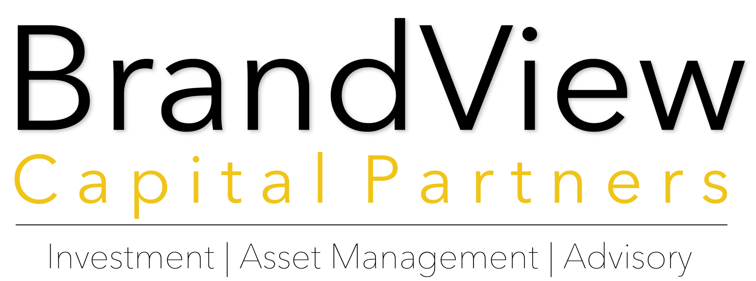 brandviewlogo1revised.png