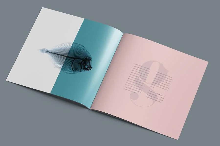Square-Brochure-Mockup-prev01_1024x1024.jpg