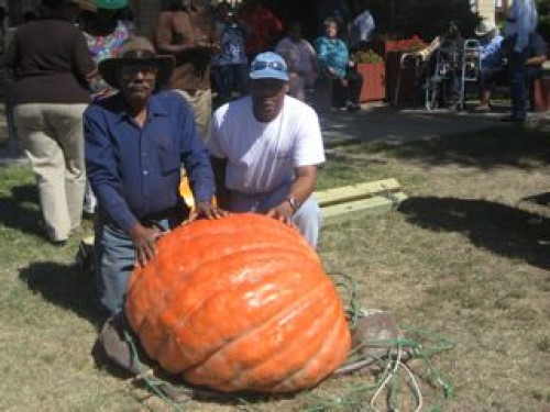 Gary and Robert Alexander grew the Great Pumpkin