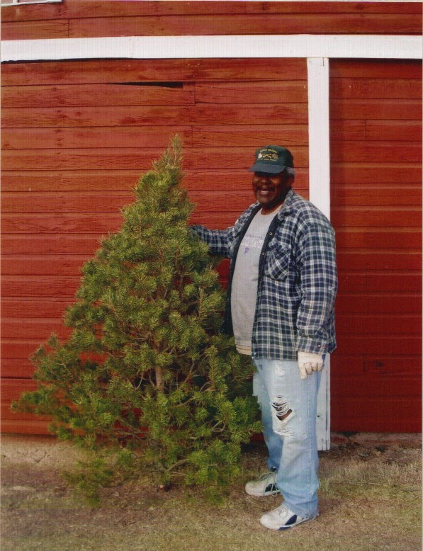 Tom Wellington with selected Christmas Tree