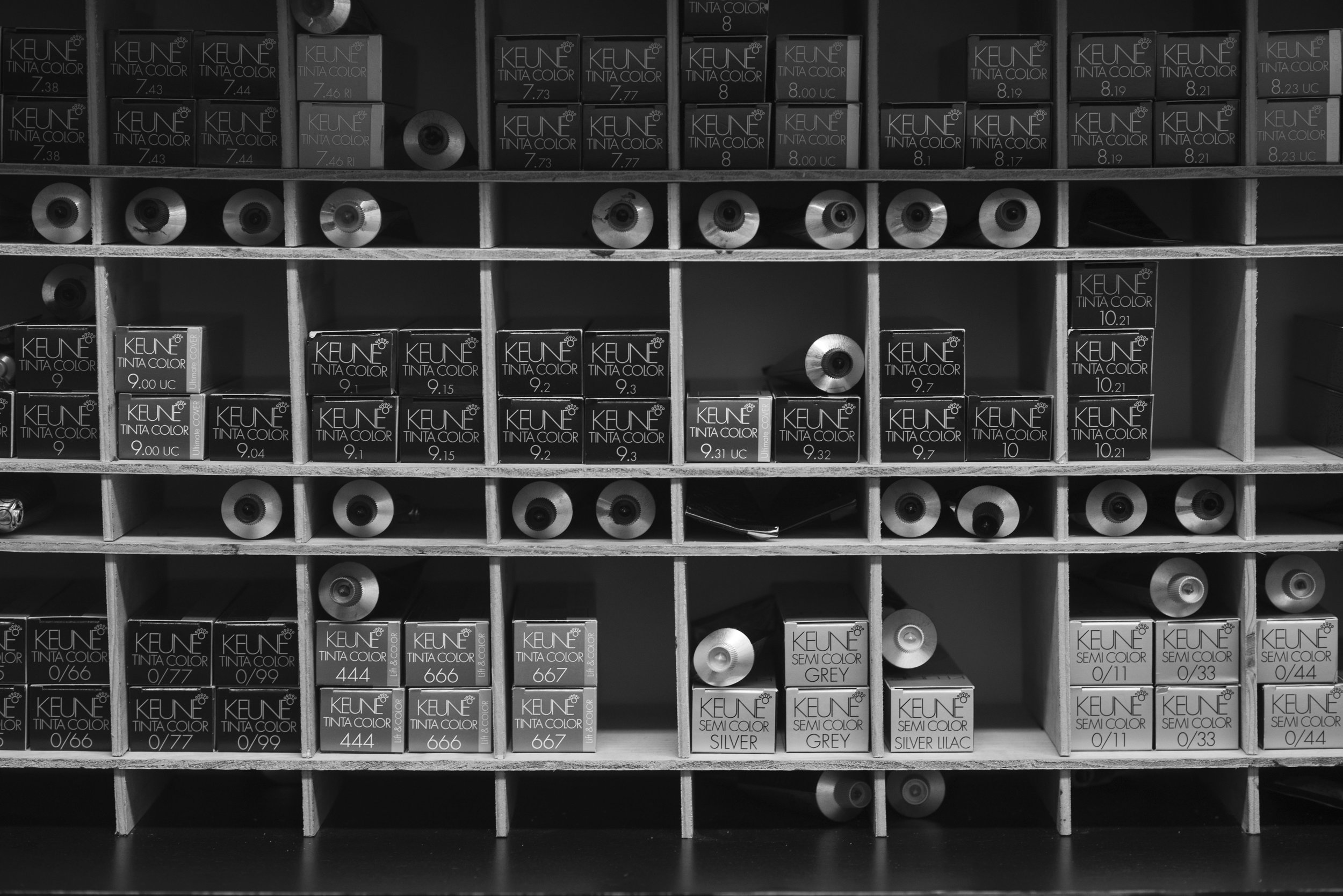 DSC_1385bw.jpg