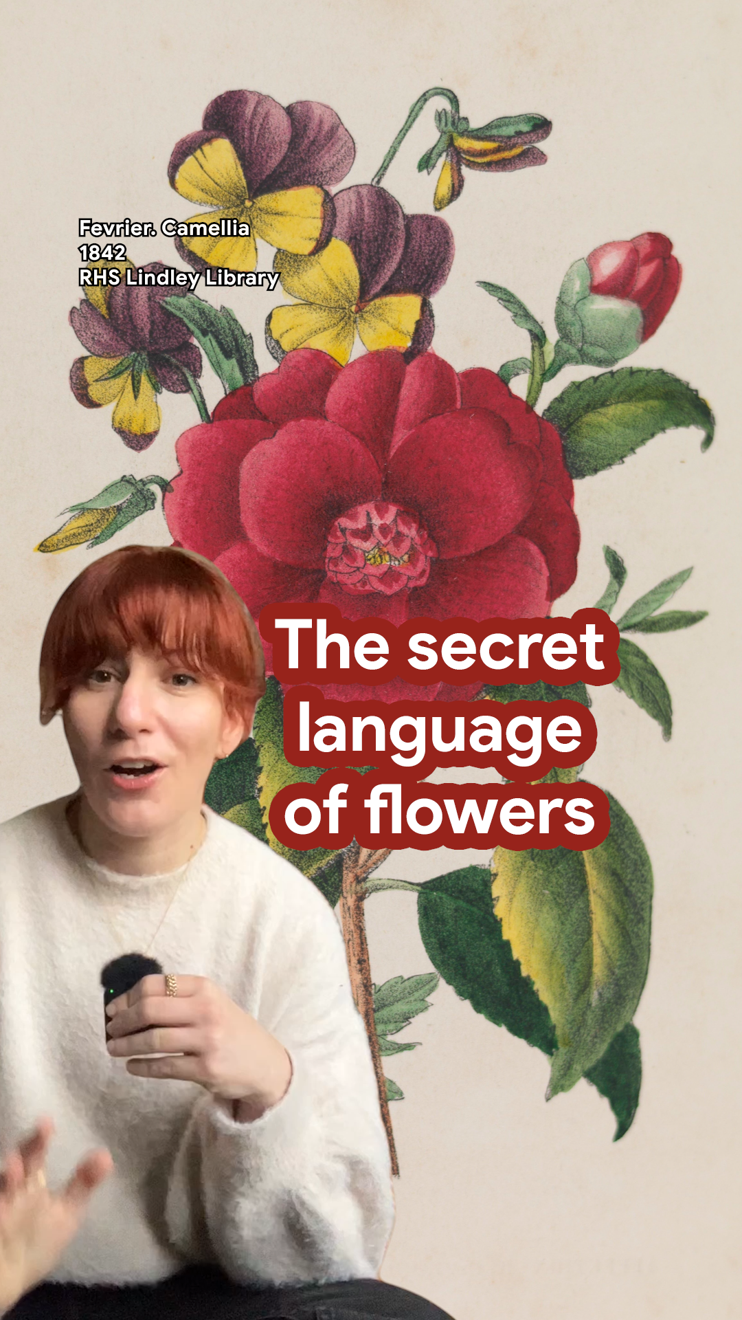 The Secret Language of Flowers