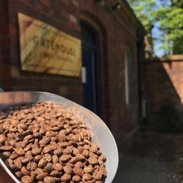 beans outside.jpeg