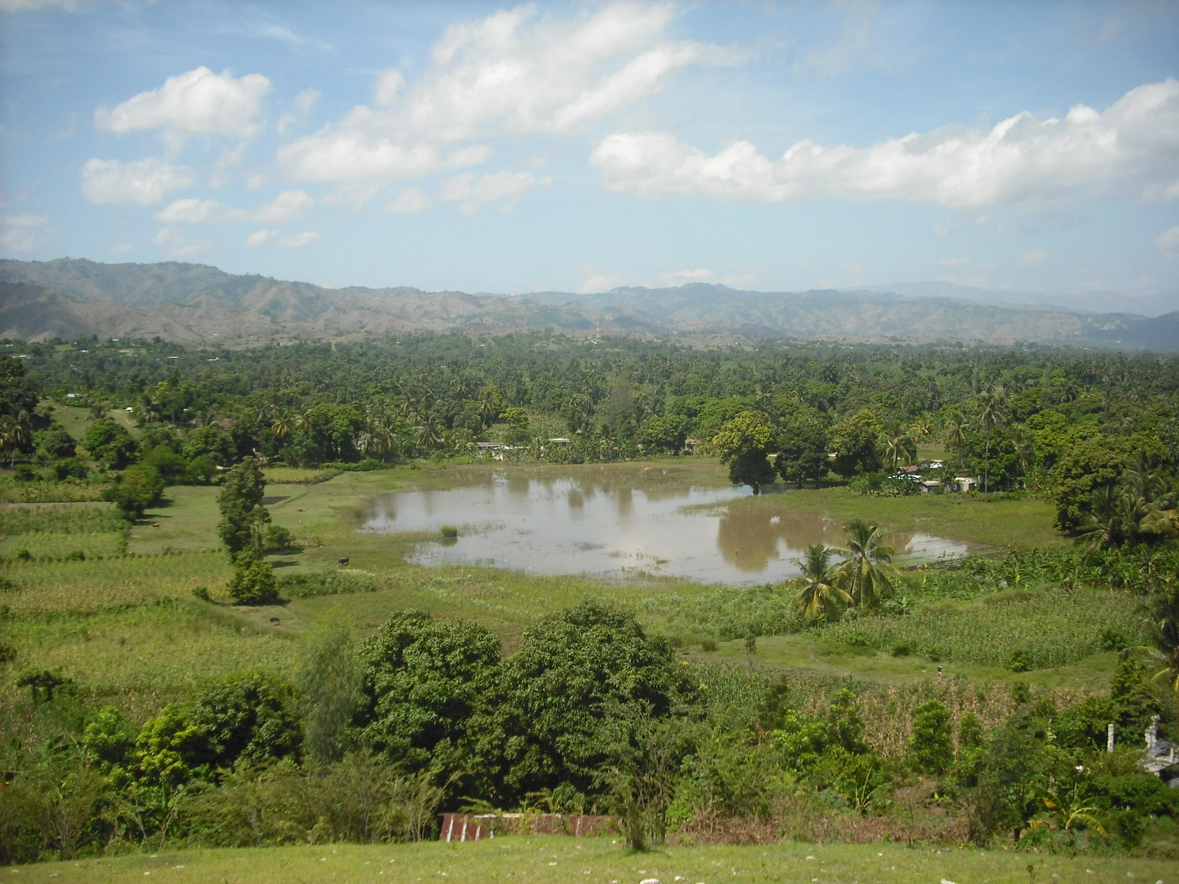Winter Installation: Alexandra Antoine "Listen to the Mountains"
