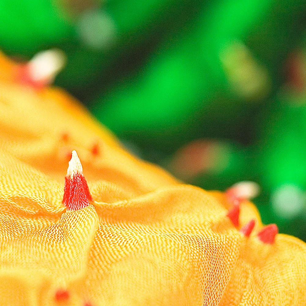 IND_SP_Silk_06.jpg