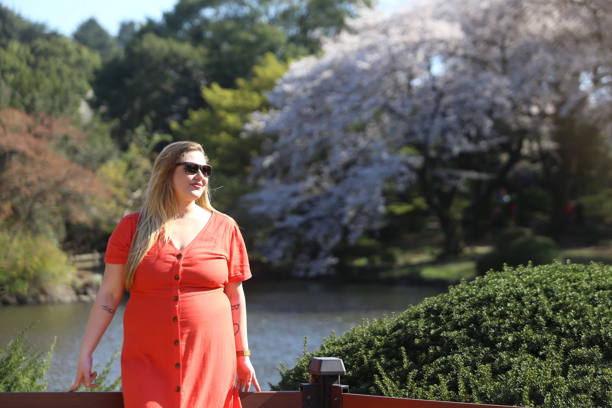 Shinjinku Gyoen Tokyo Japan Cherry Blossom.jpg