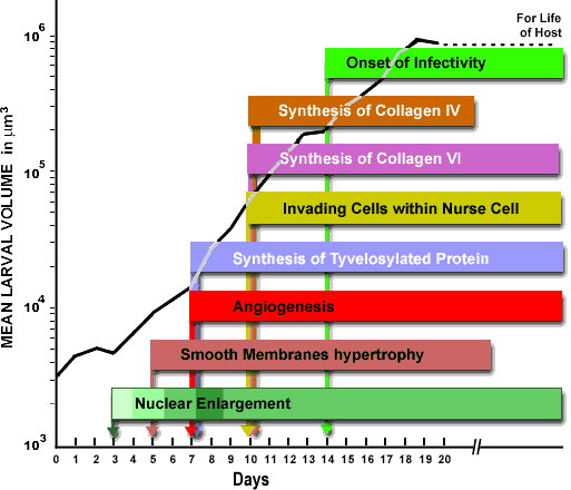 rediffchart.gif