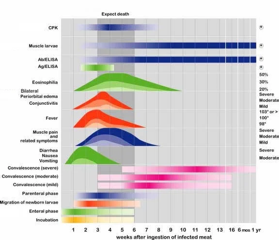 The graph above summarizes the major clinical findings and diagnostic correlates.