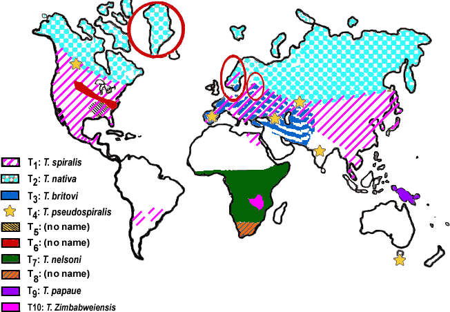 geodistribution.gif