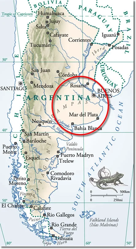 argentina-1.jpg