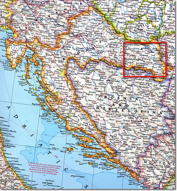 Section-8.jpg