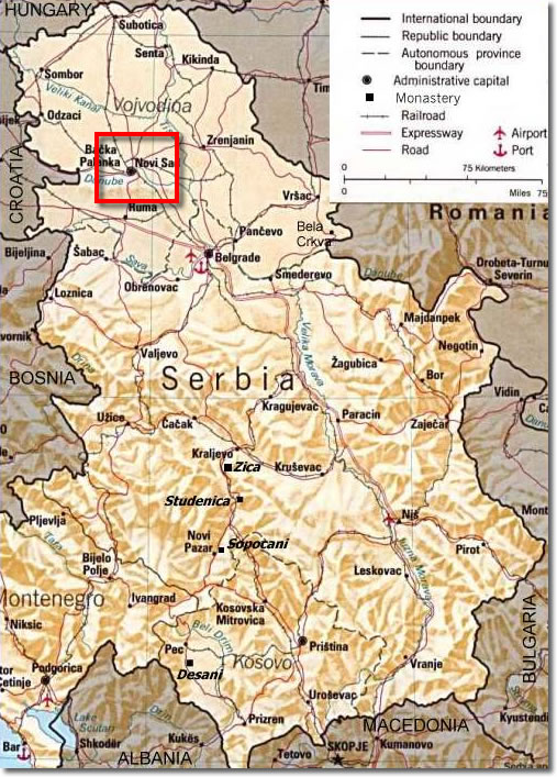 Section-2.jpg