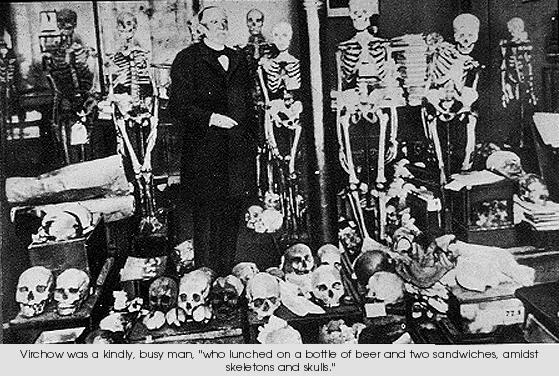 Virchow and friends