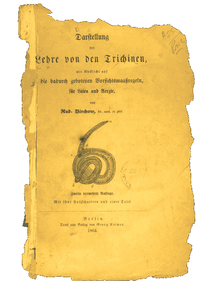 Front Page of a Review Article by Virchow