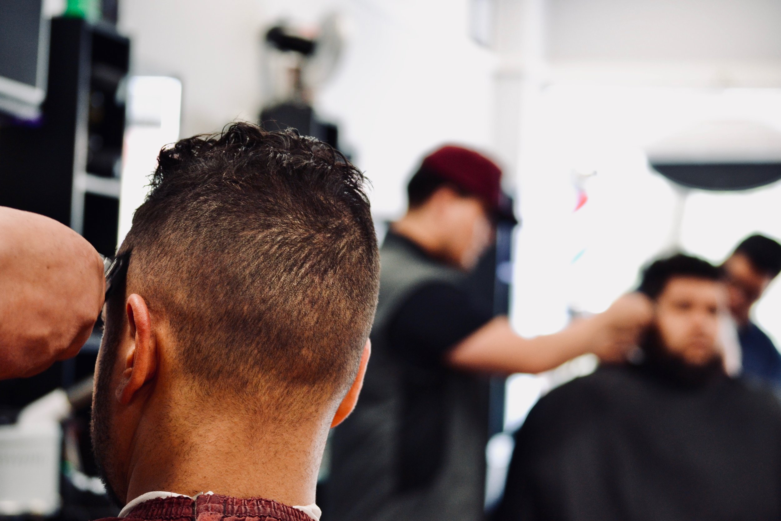 Creation Cuts - 25 of 56.jpg