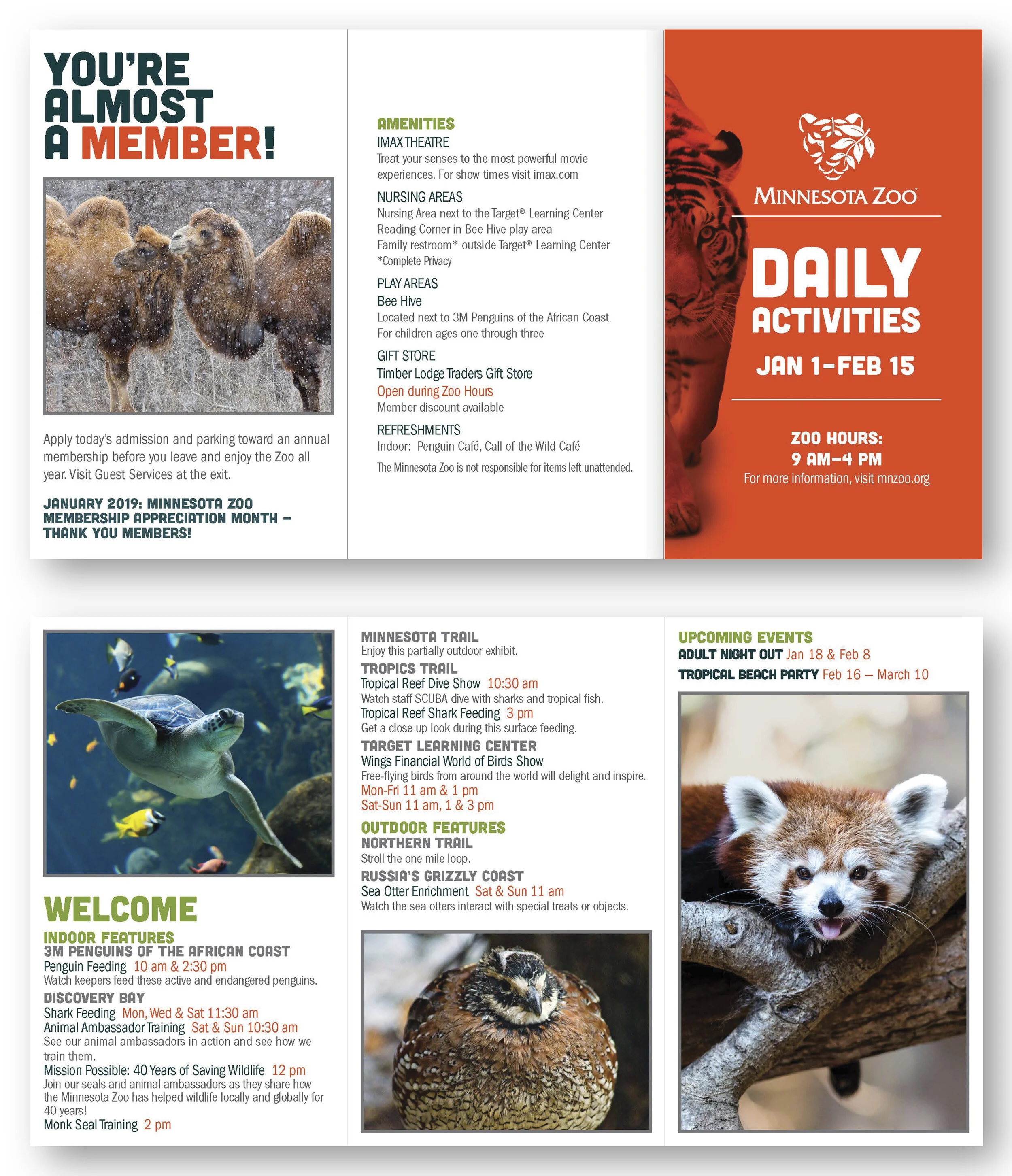 Daily Activities Schedule: January 2019