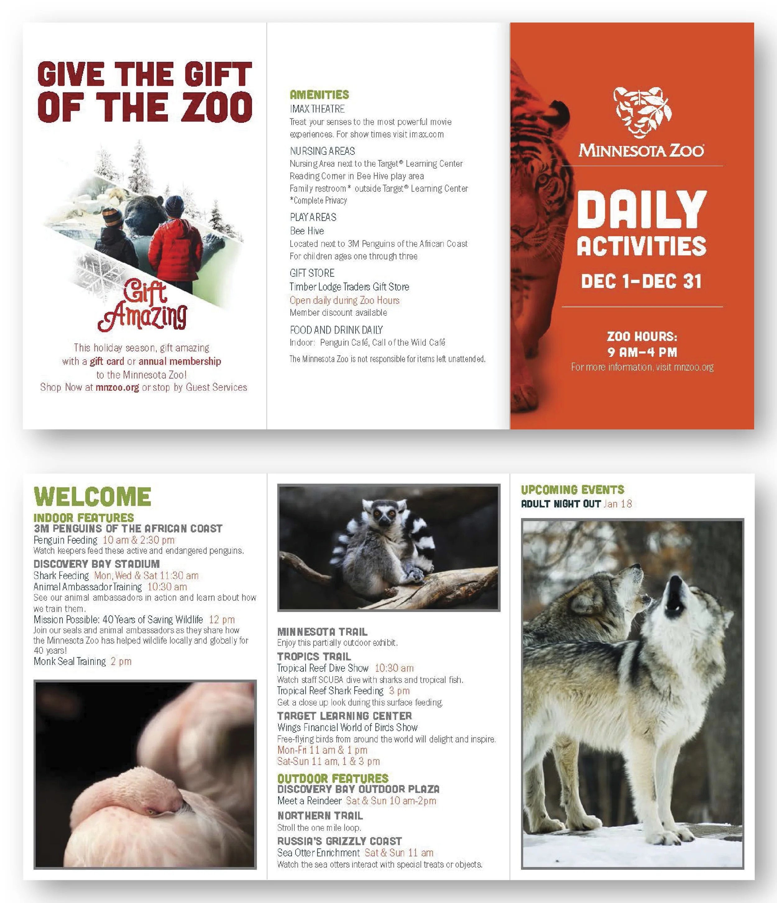 Daily Activities Schedule: December 2018