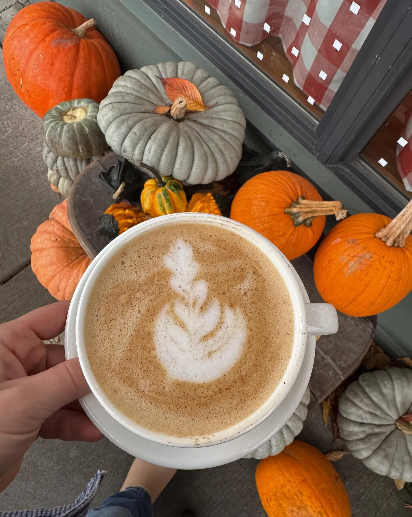 Enjoying the last bit of the leaves for the year 🍁 🍂