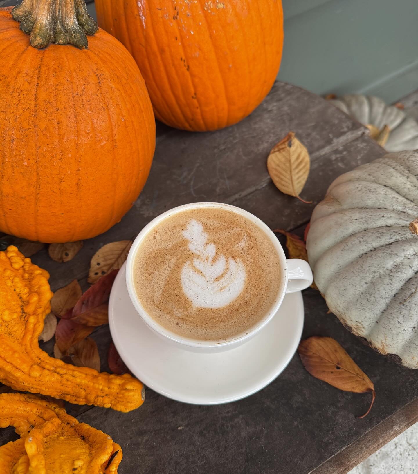 Come start your day with a hot, yummy spiced latte. 🍁 🍂 ☕️