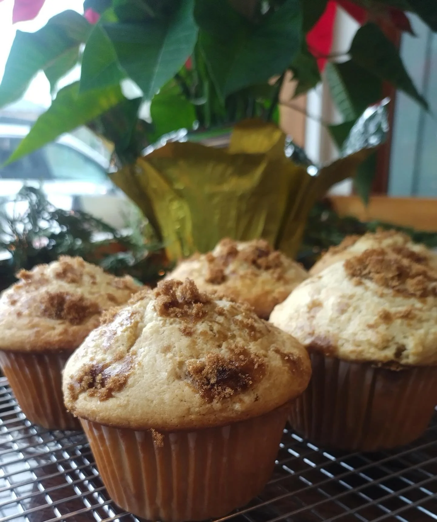 Come grab some fresh Maple Ginger Muffins!