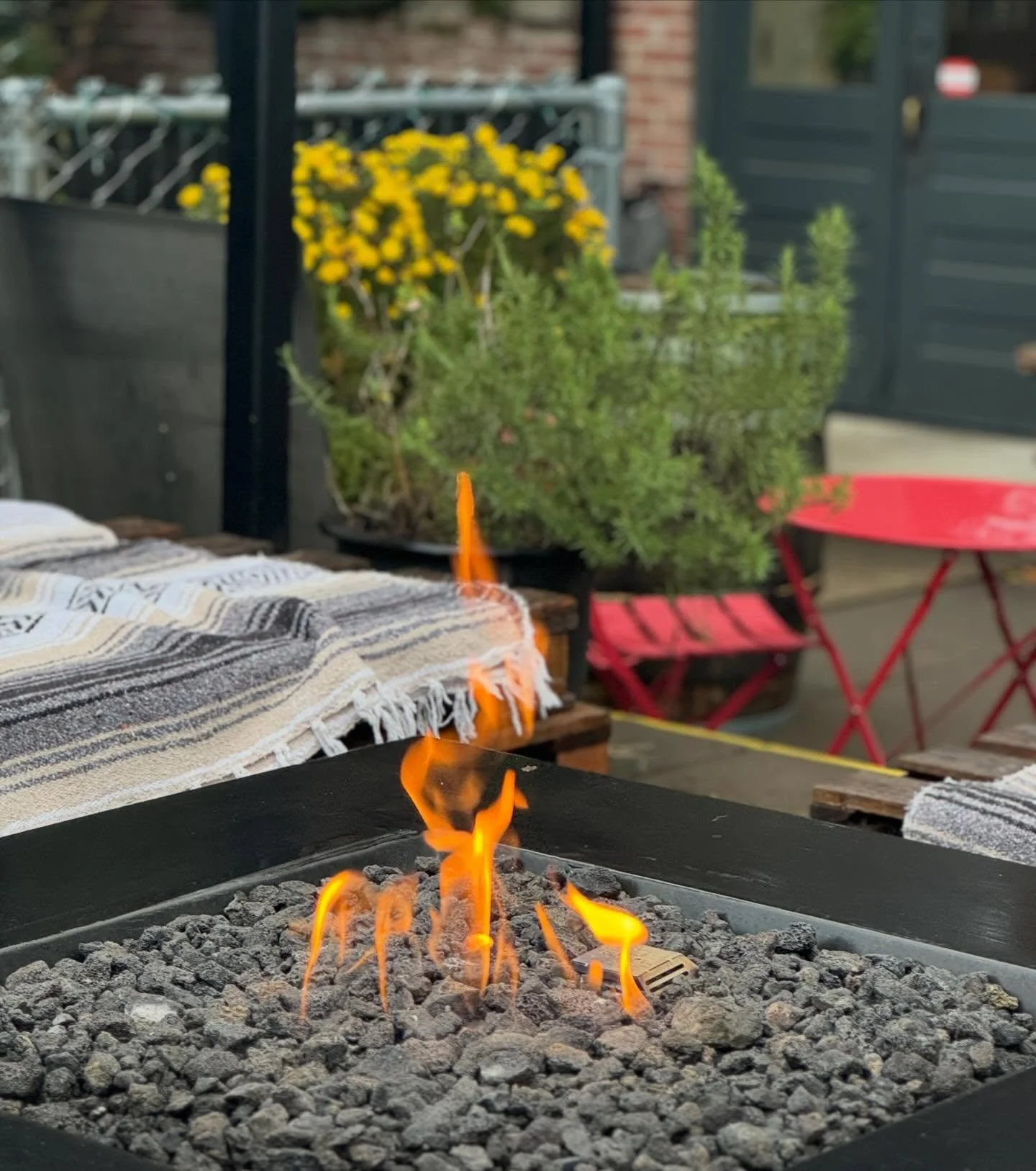 Back patio is open! Come enjoy the beautiful spring day while sipping some coffee ☕️