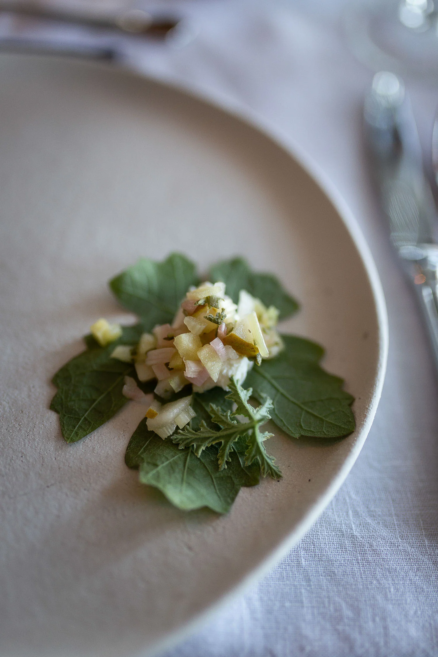 Salad-recipe-adelasterfoodtexture-2046.jpg