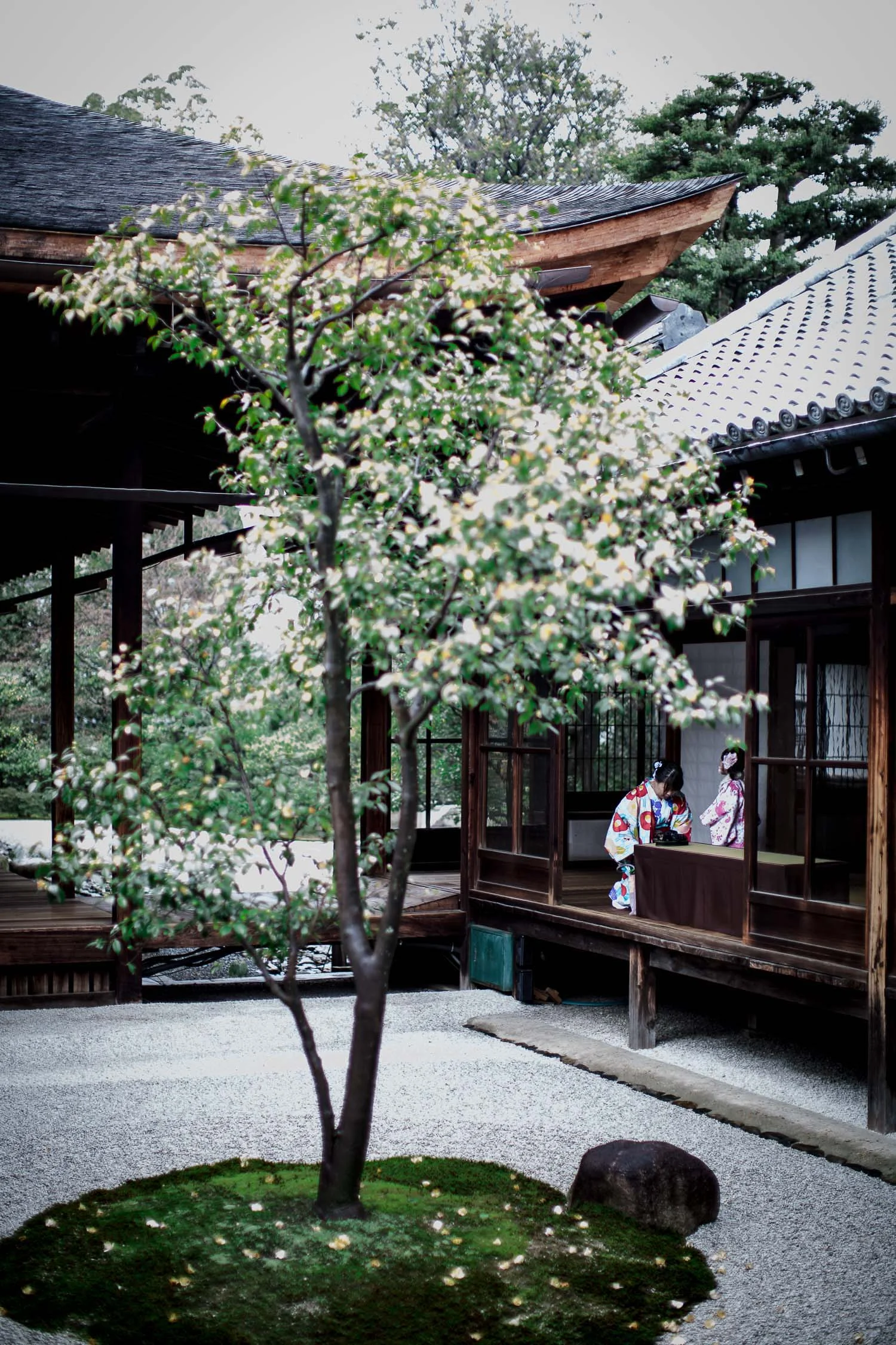 Kyoto-Japan.jpg