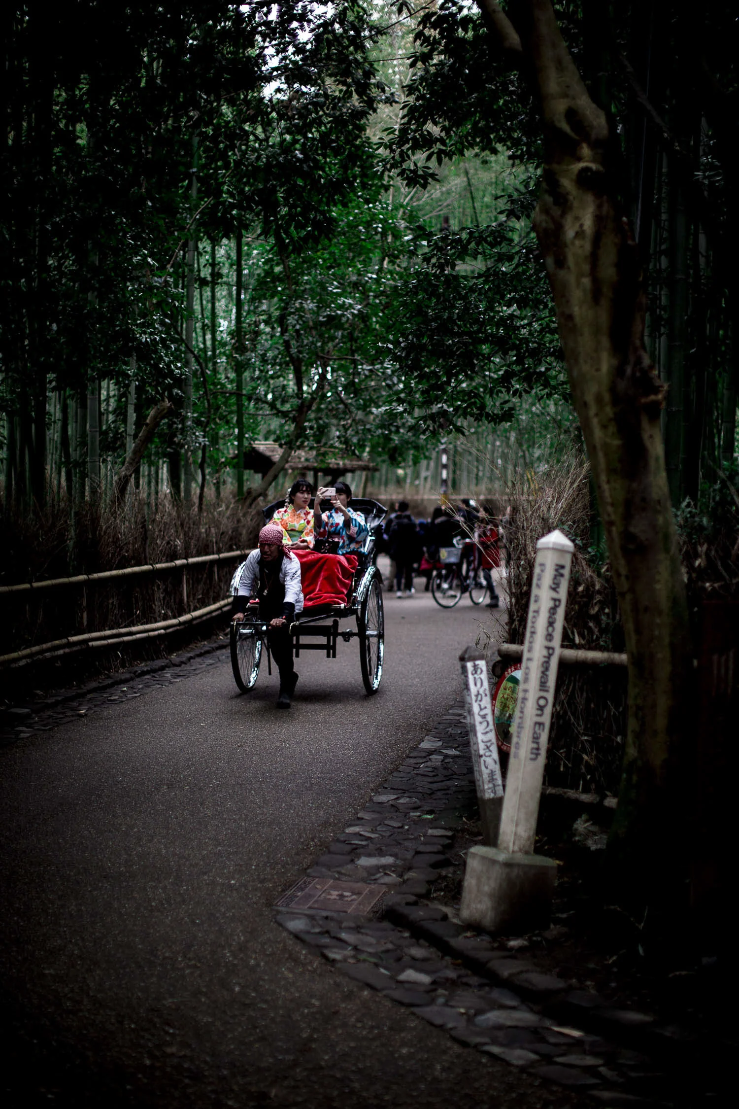 Rickshaw_Bambu-Forest-Kyoto-Japan.jpg