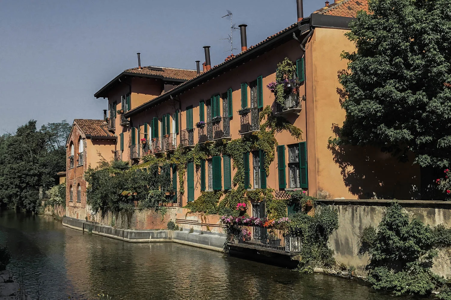 Milan-6146.jpg