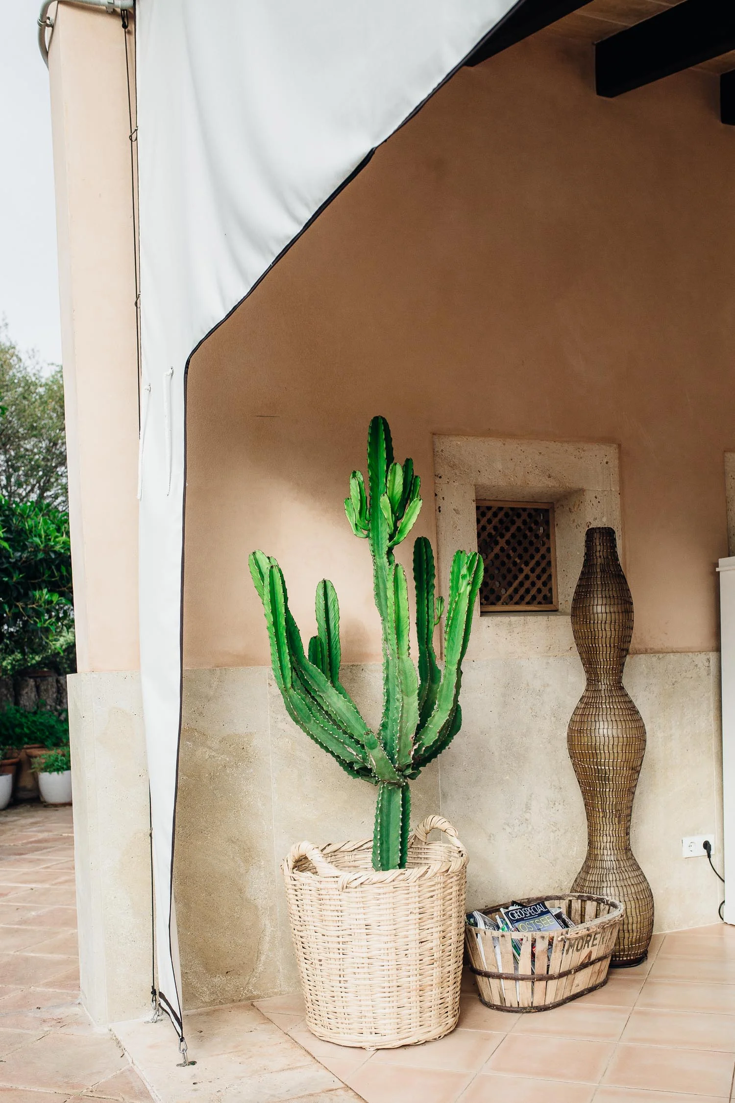 Cal-Reiet-cactus-on-pink-wall-Mallorca-1310.jpg