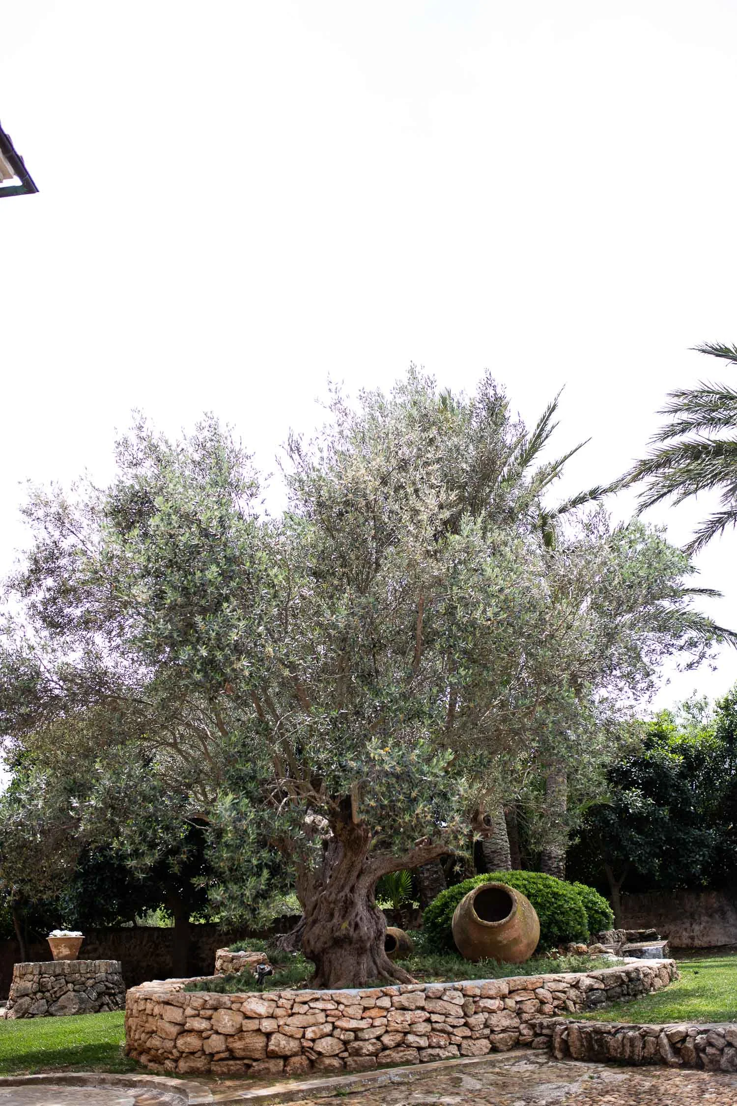 Cal-Reiet-garden-Mallorca-1206.jpg