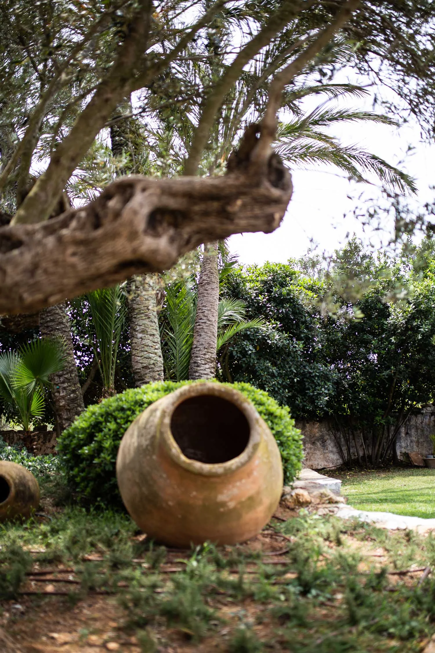 Cal-Reiet-garden-Mallorca-1208.jpg