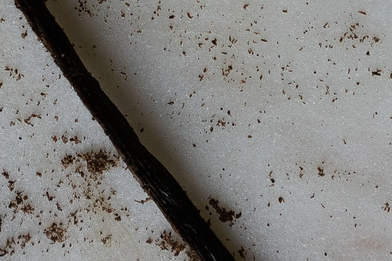 Vanilla-Bud-Detail-03915-2.jpg