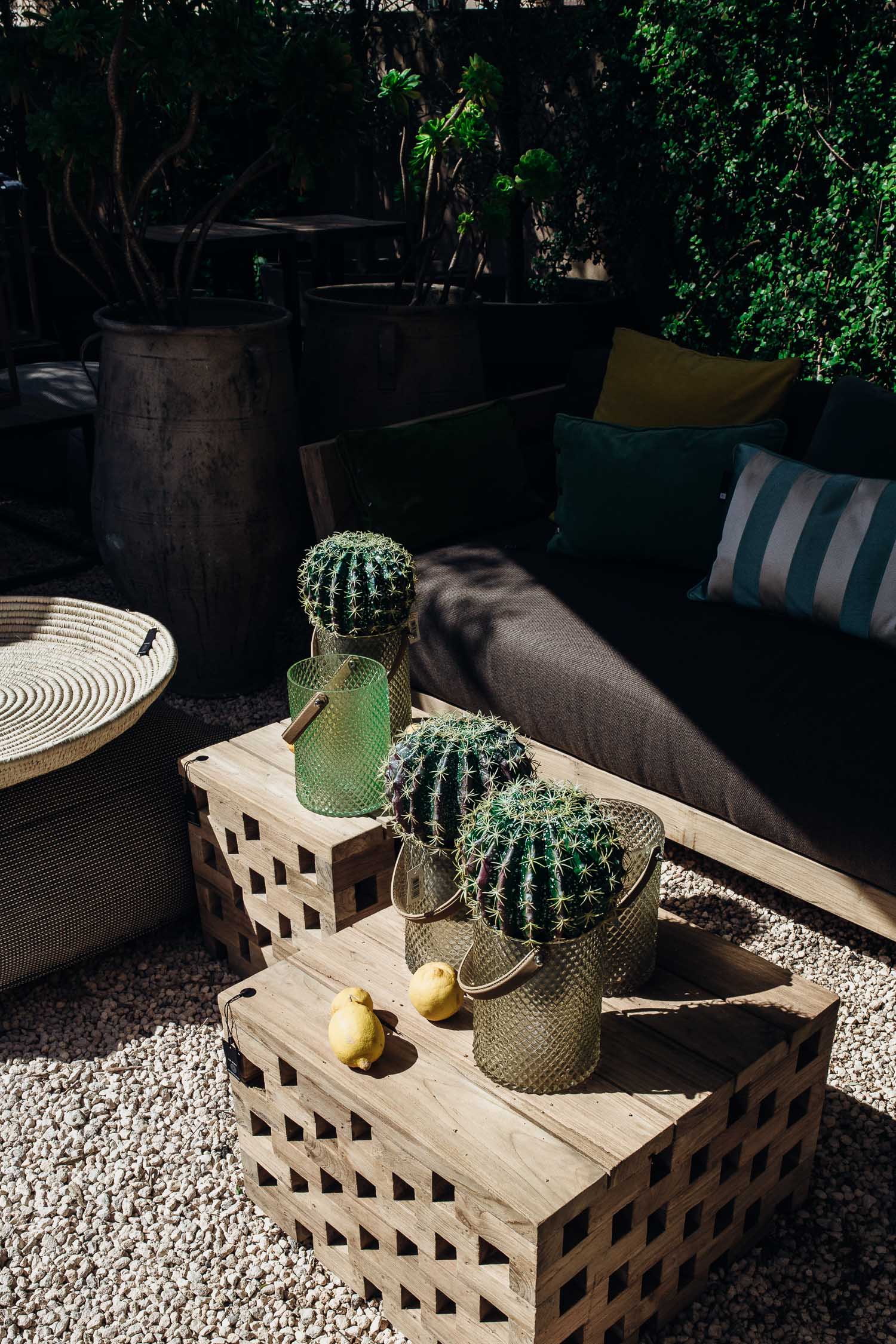 Santanyi-cactuses-pots-Mallorca-1469.jpg